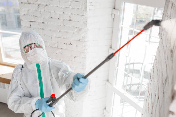 Washoe Valley, NV Mold Inspection, Removal & Remediation Company